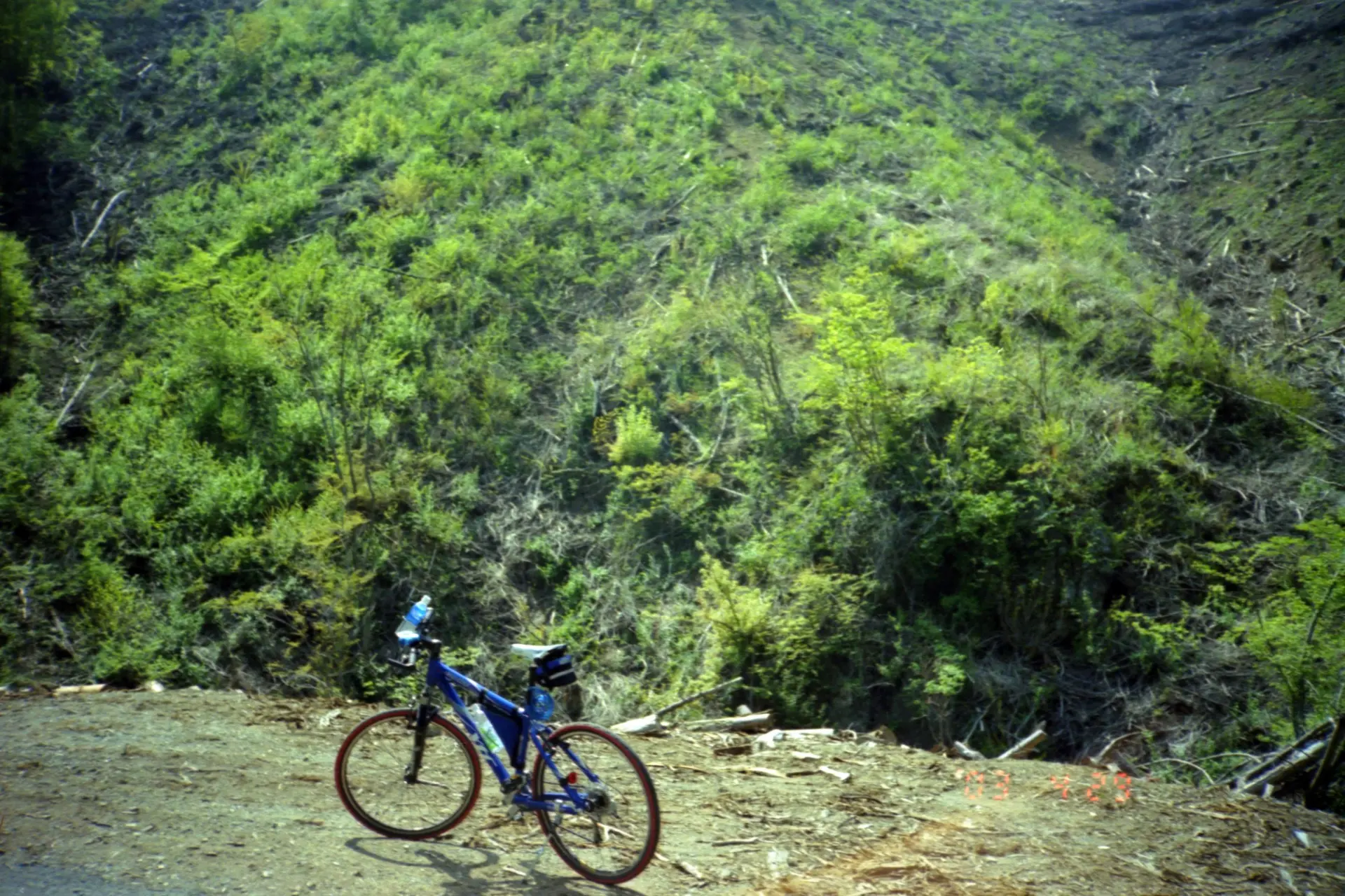 白石峠からの下りの途中