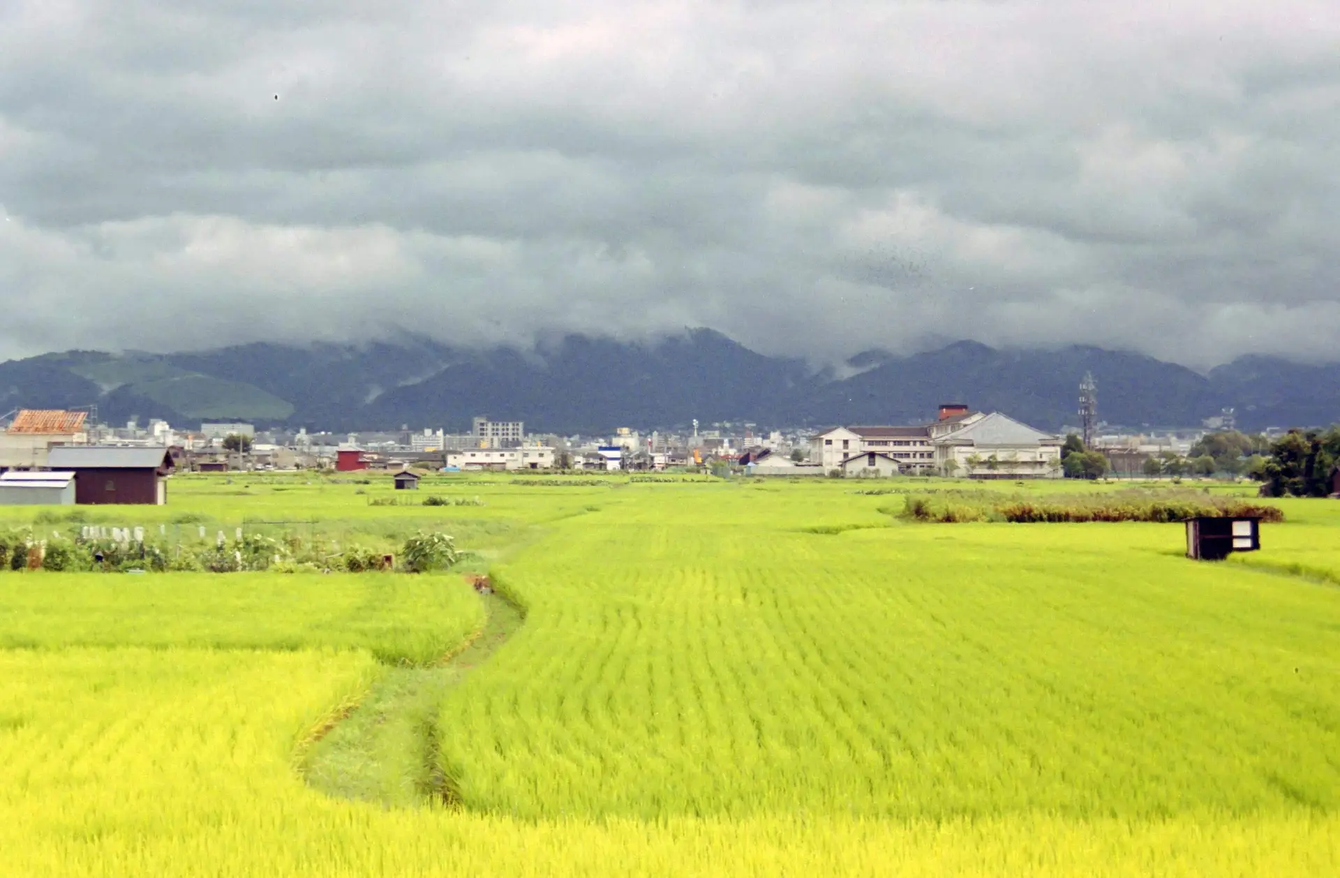 奈良のそごう附近？