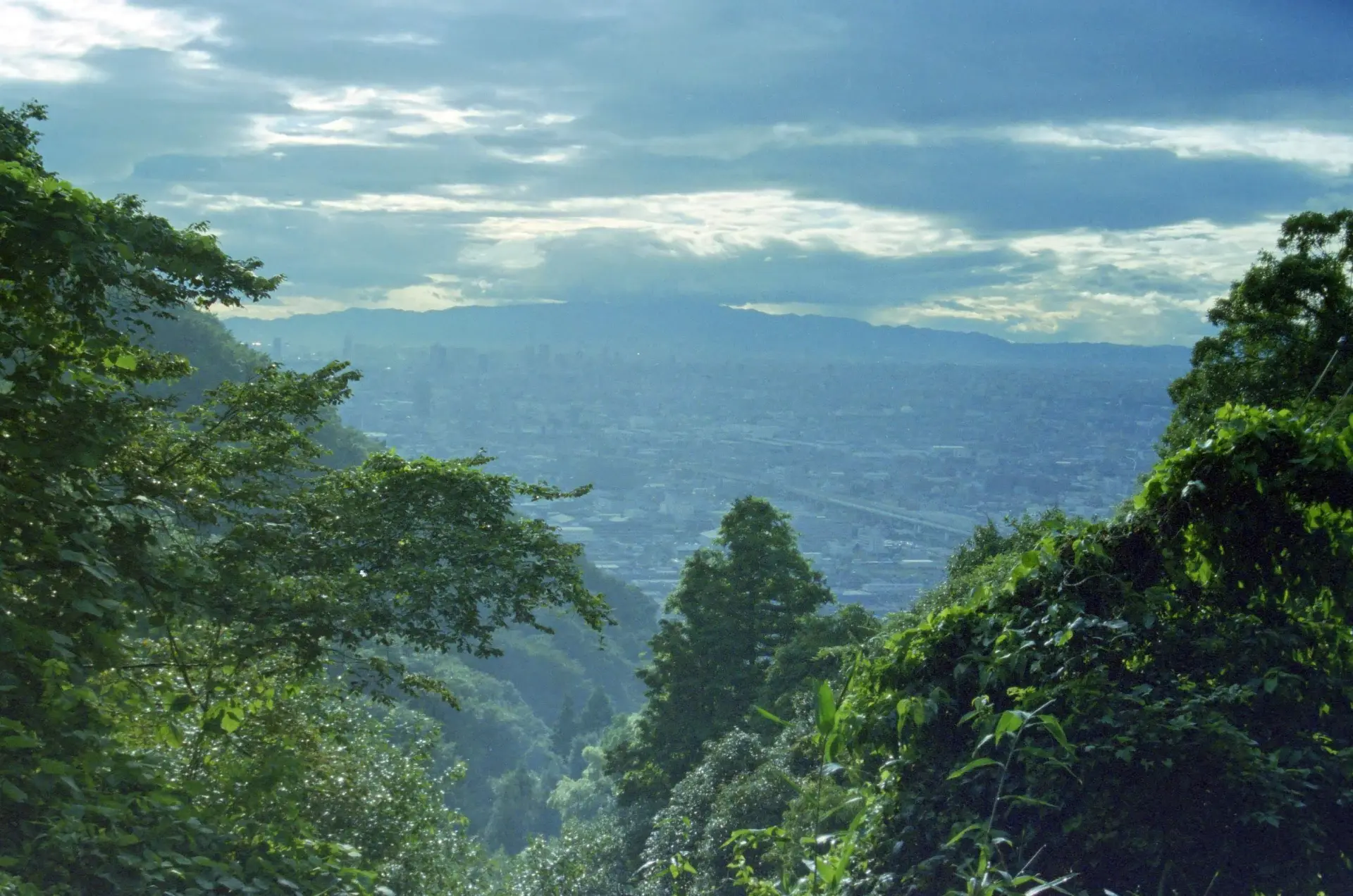 大阪平野を見渡す