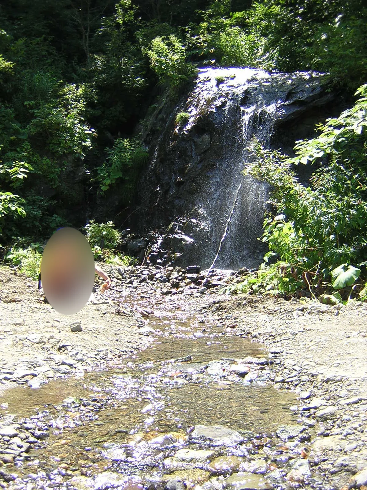 峰越林道田代相馬線の滝