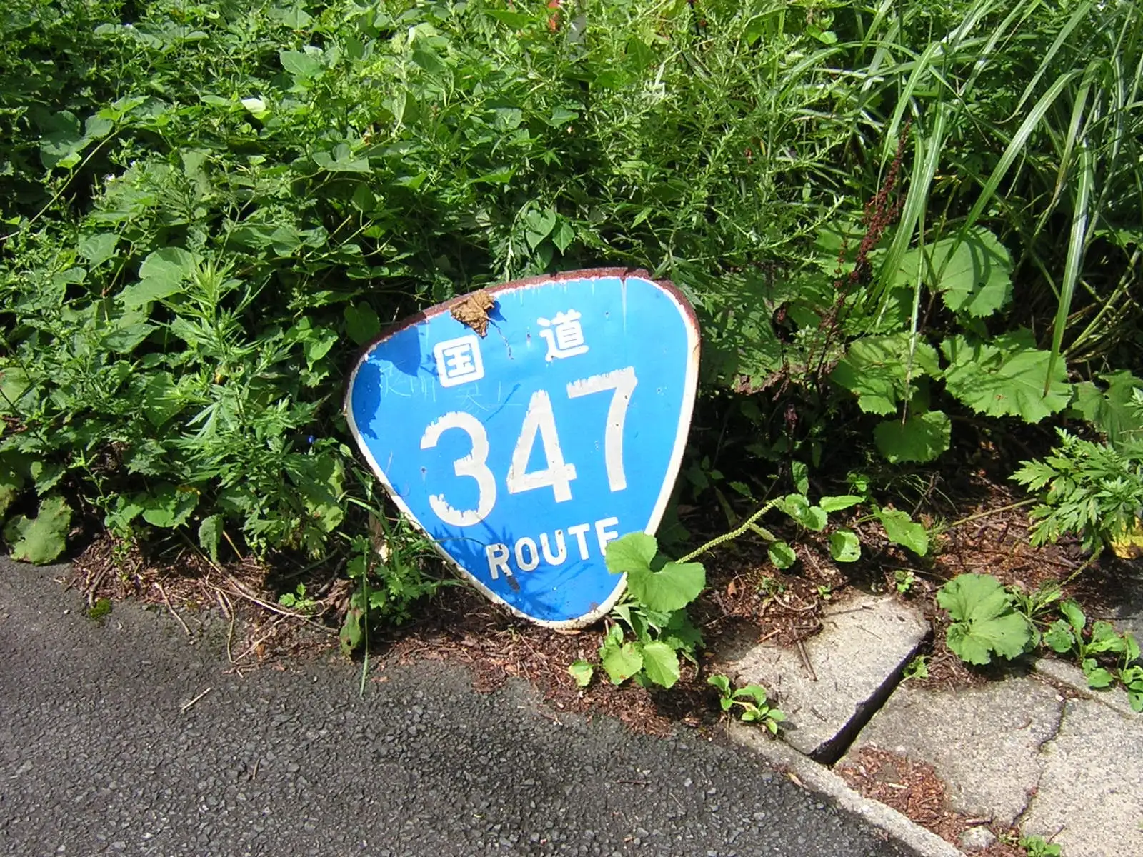 鍋越峠旧道