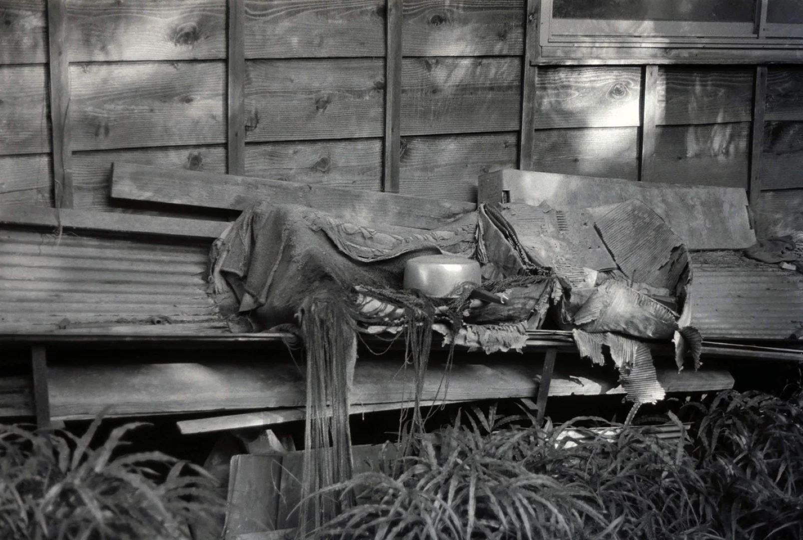 KONICA MINOLTA PAN 100作例