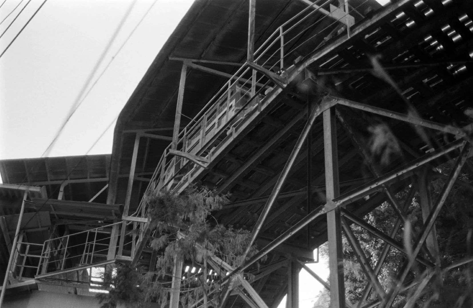 KONICA MINOLTA PAN 100作例