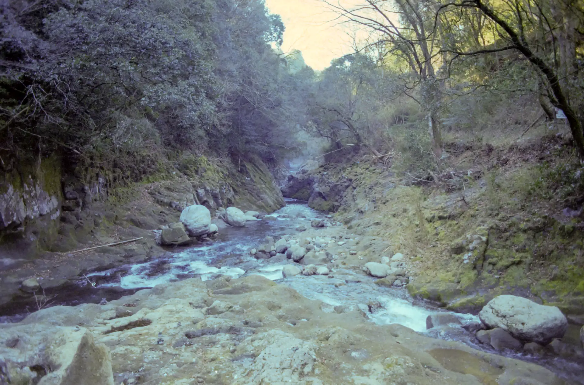 天岩戸神社の渓流