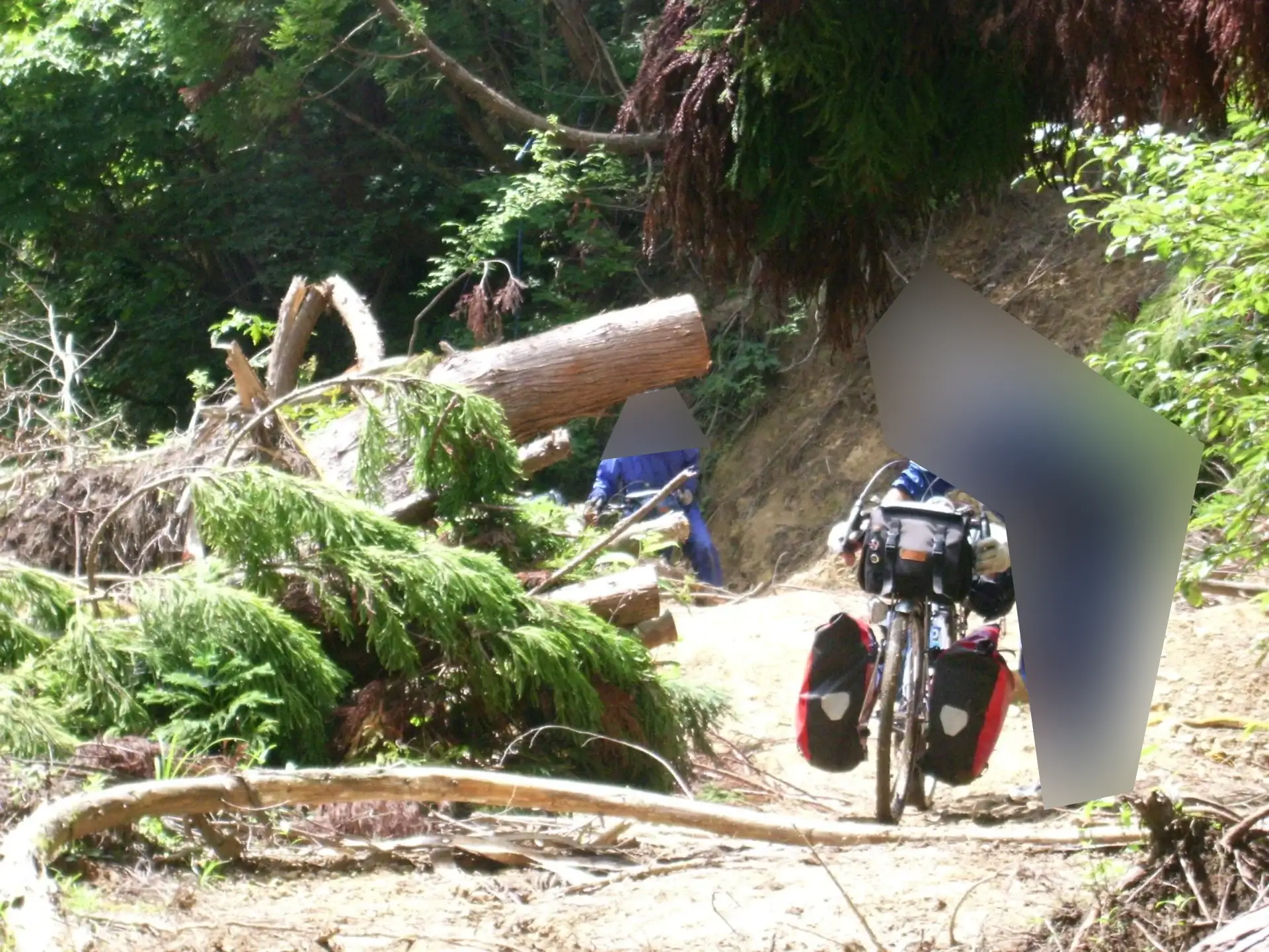 十方山林道の崩落地点