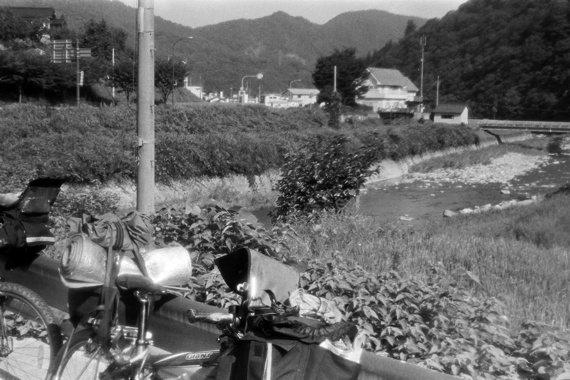 モノクロで撮影