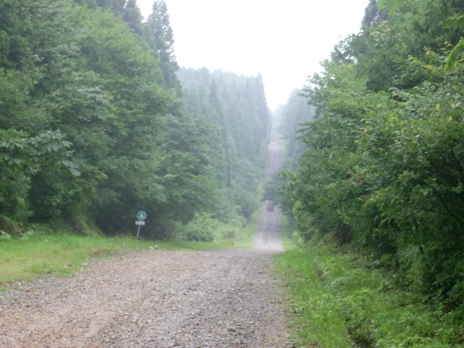 氷ノ山のダート