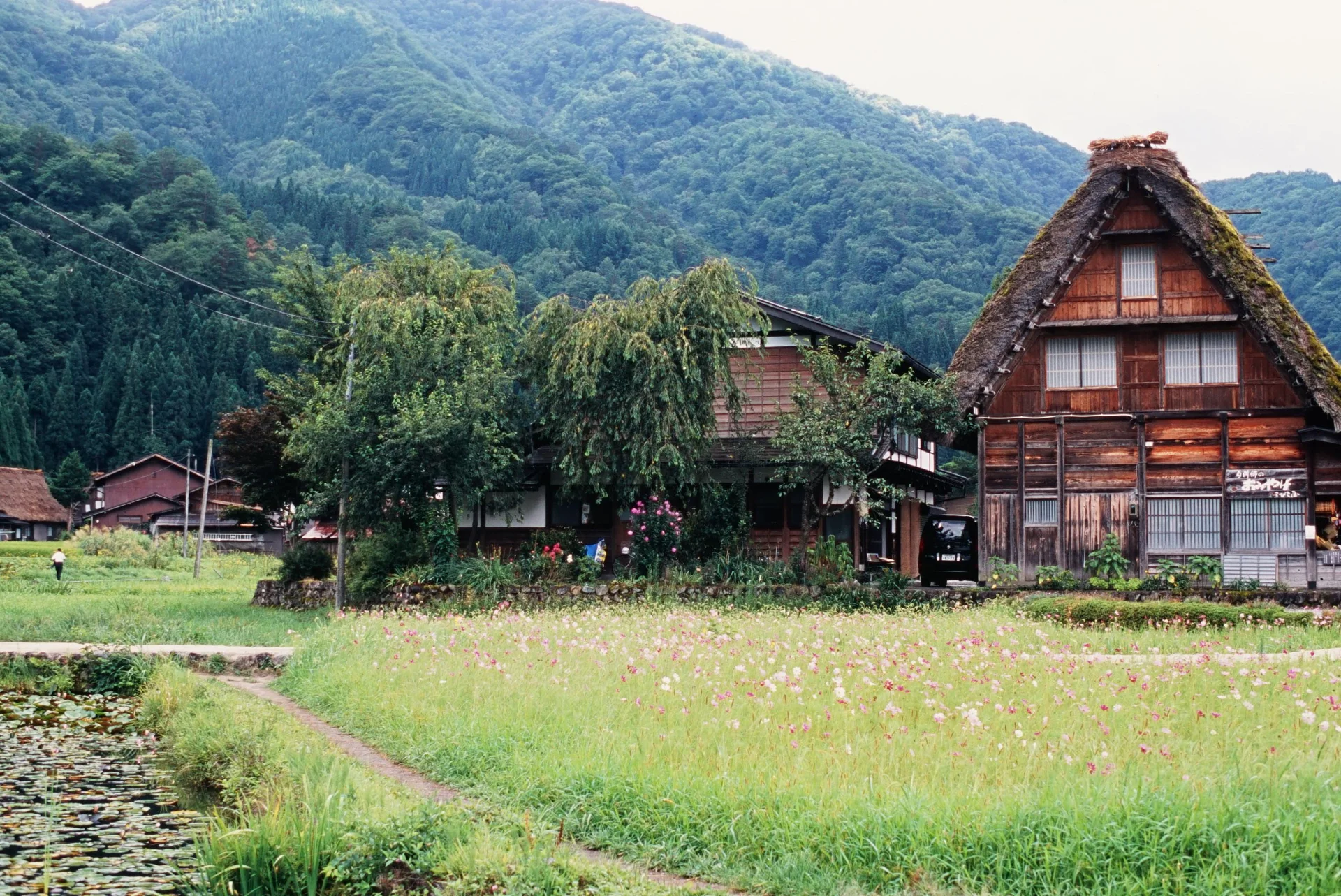 菅沼合掌造り集落