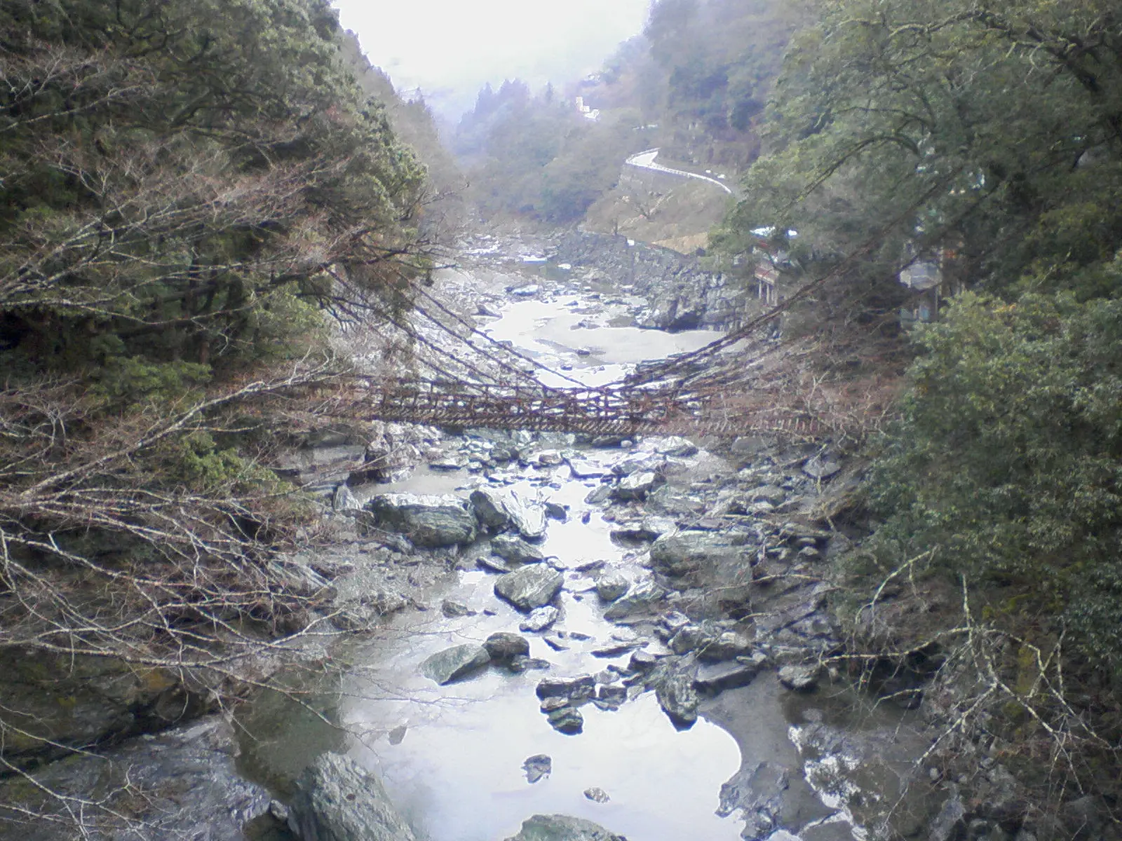 祖谷のかずら橋