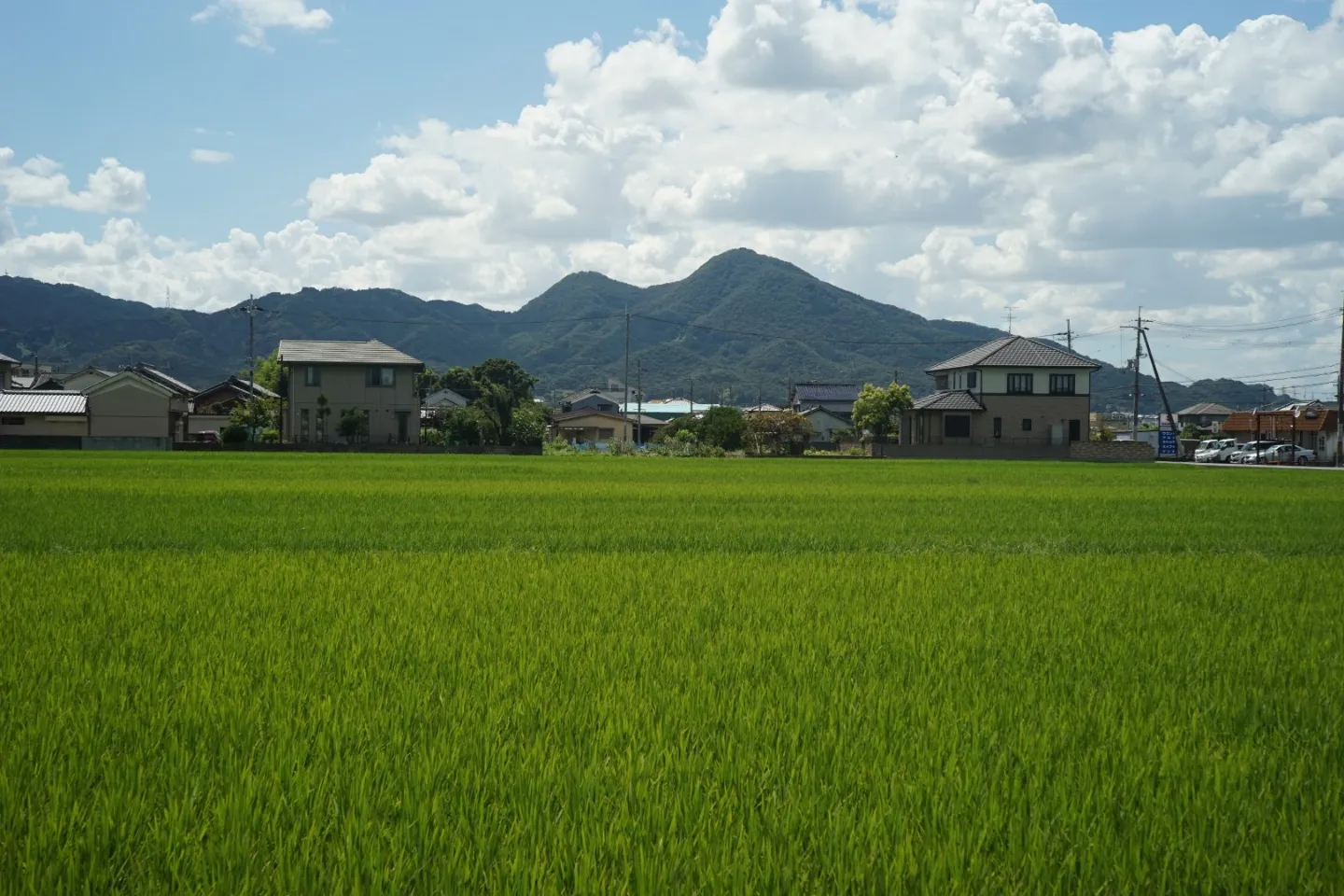 大和高田の風景
