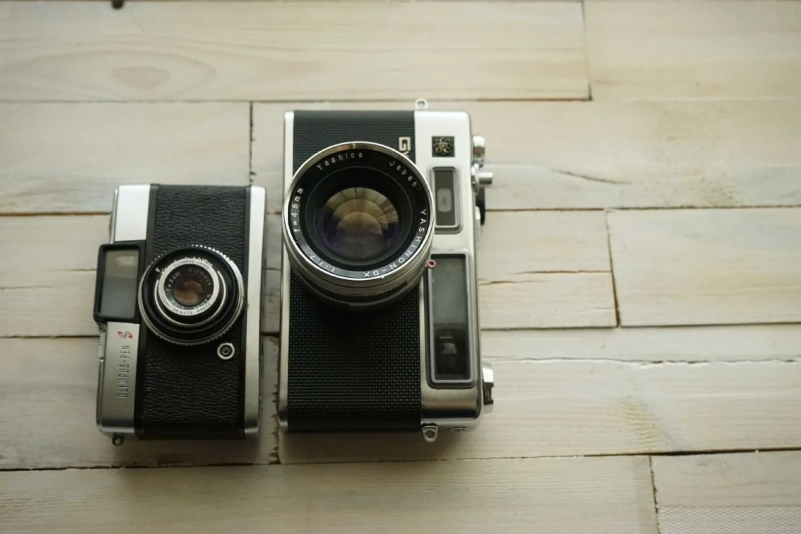 サイズは相当大きい