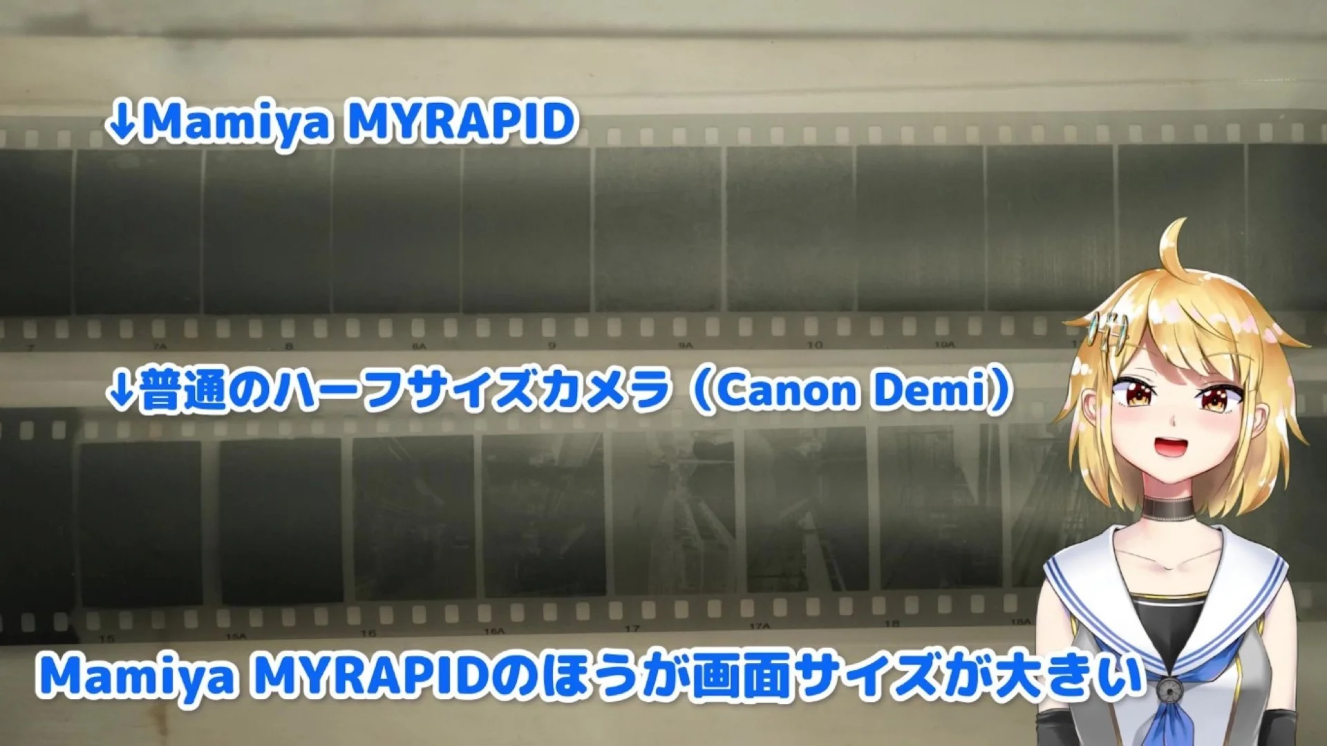 画面サイズがハーフより大きい