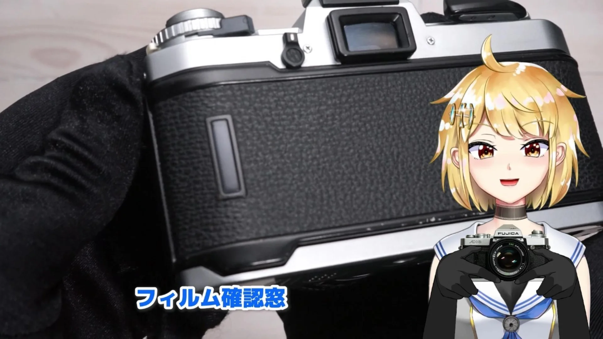 フィルム確認窓