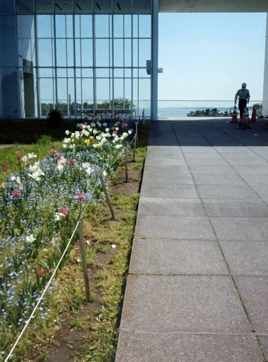 オリンパス ペンEEで撮影した写真