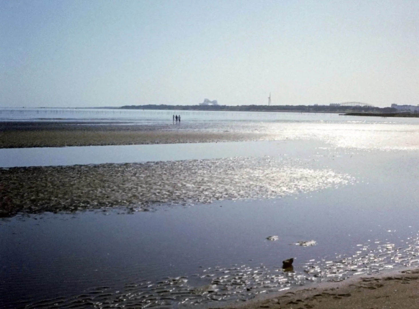 オリンパス ペンEEで撮影した写真