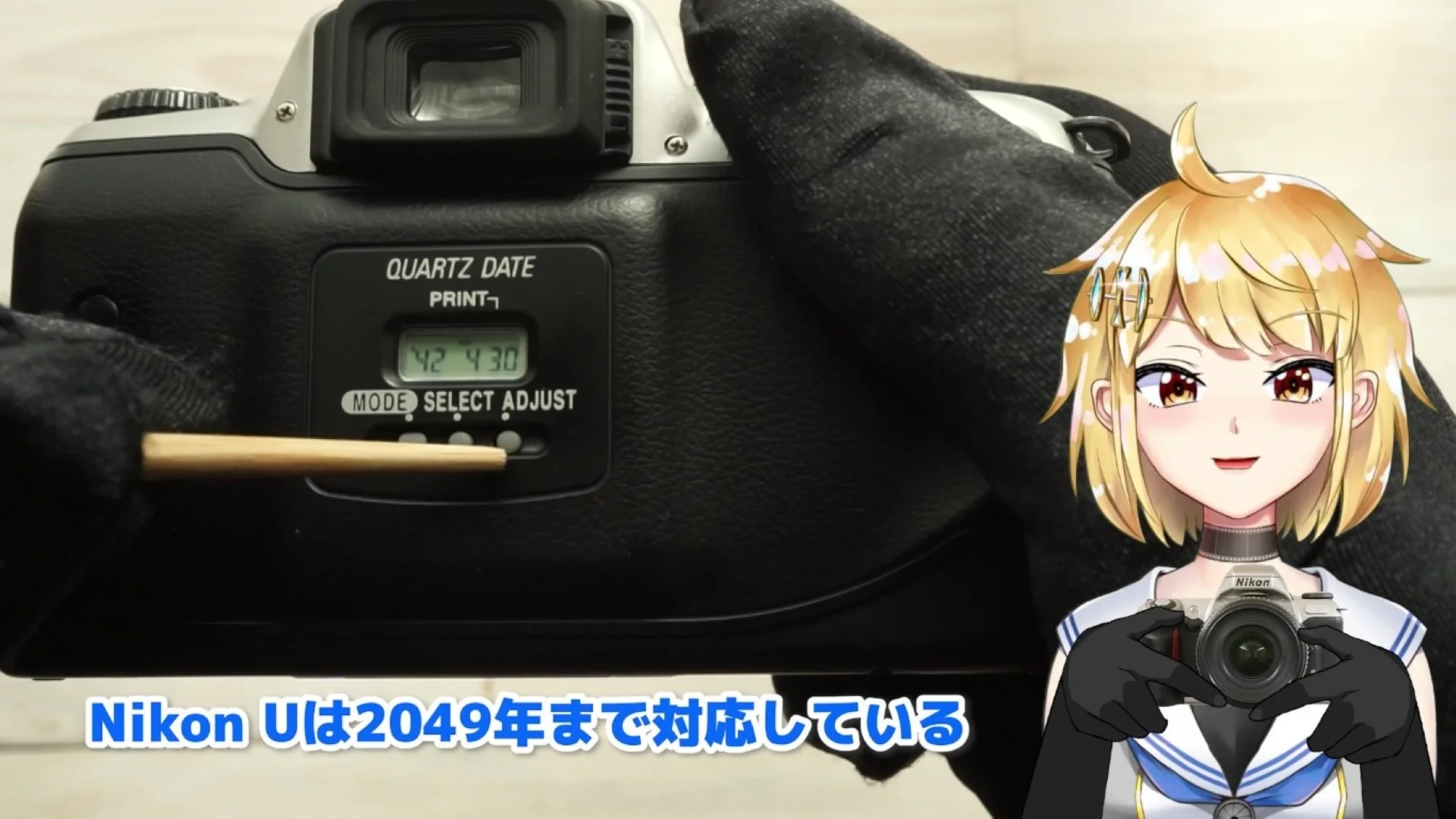 年が2049年まで対応