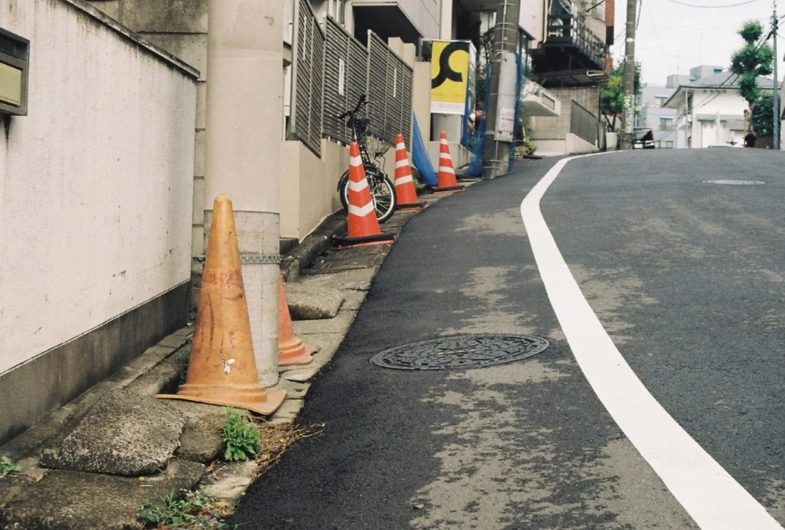 実際に撮影した写真