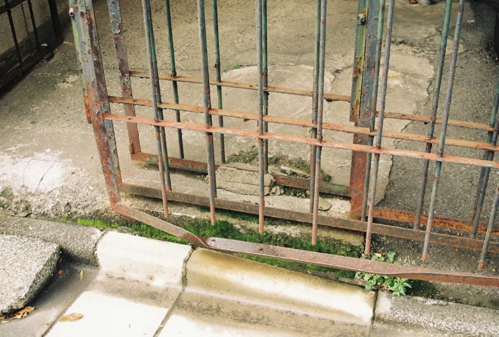 実際に撮影した写真