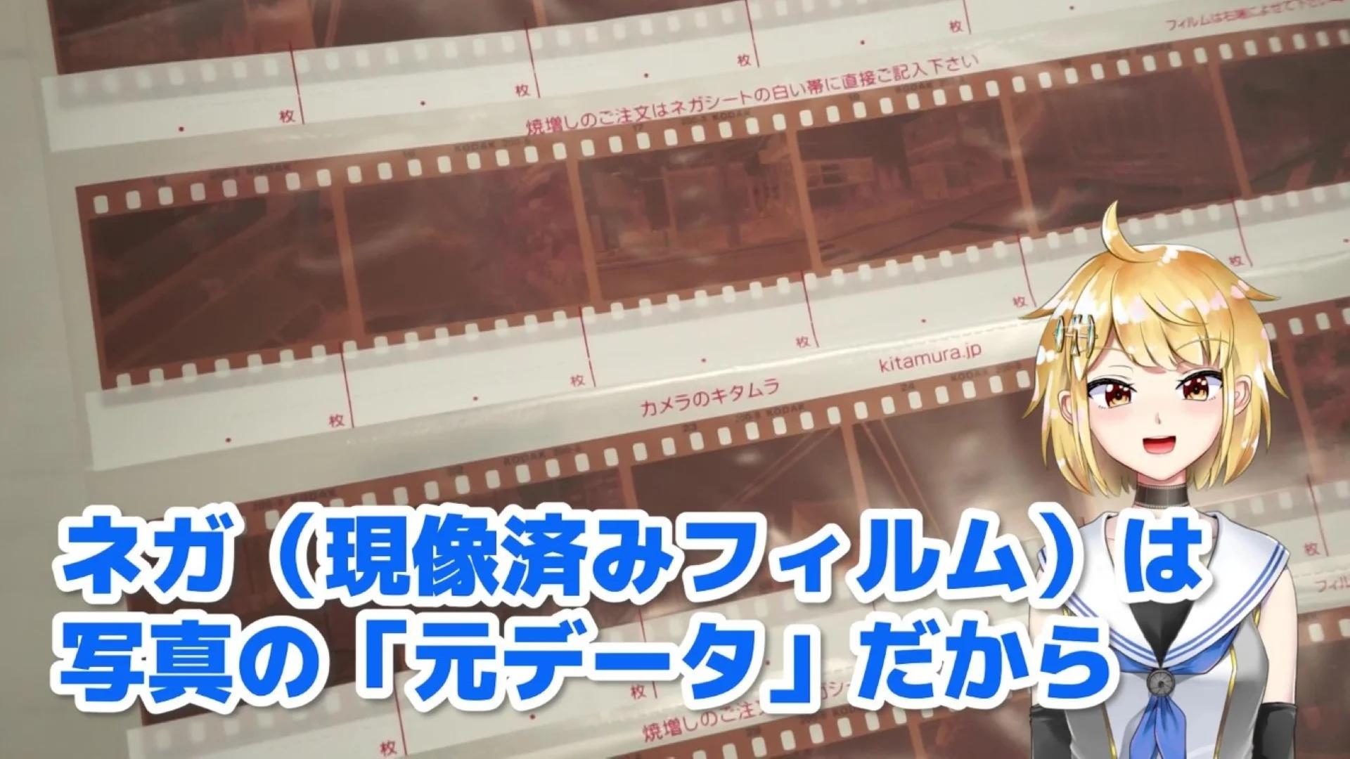 ネガというのはフィルムの写真の元データそのもの