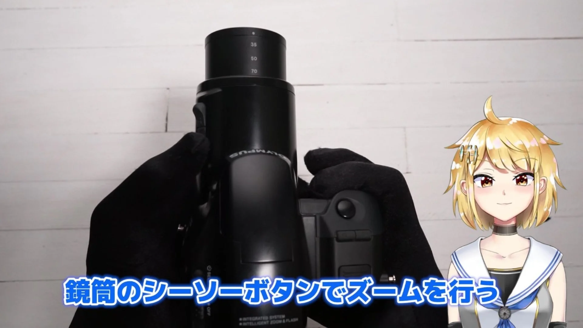 シーソーボタン