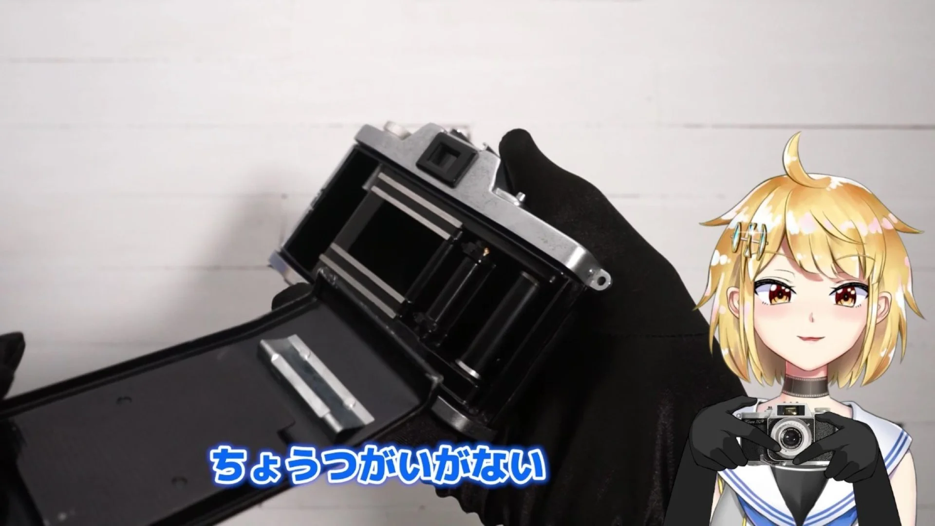 裏蓋は取り外し式