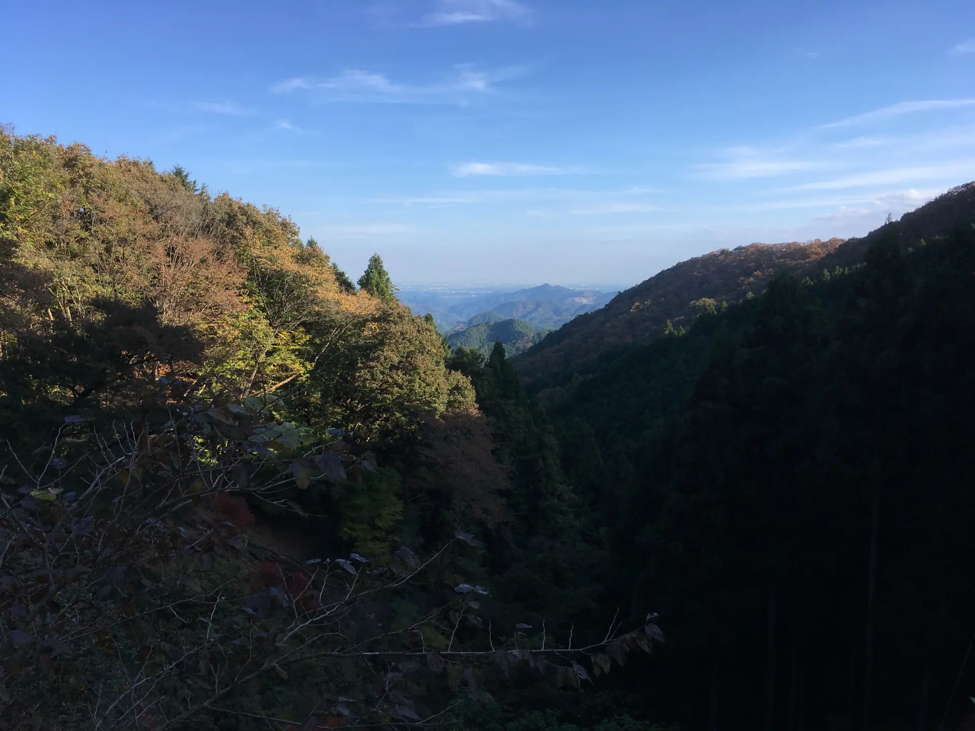 正丸峠から下る途中