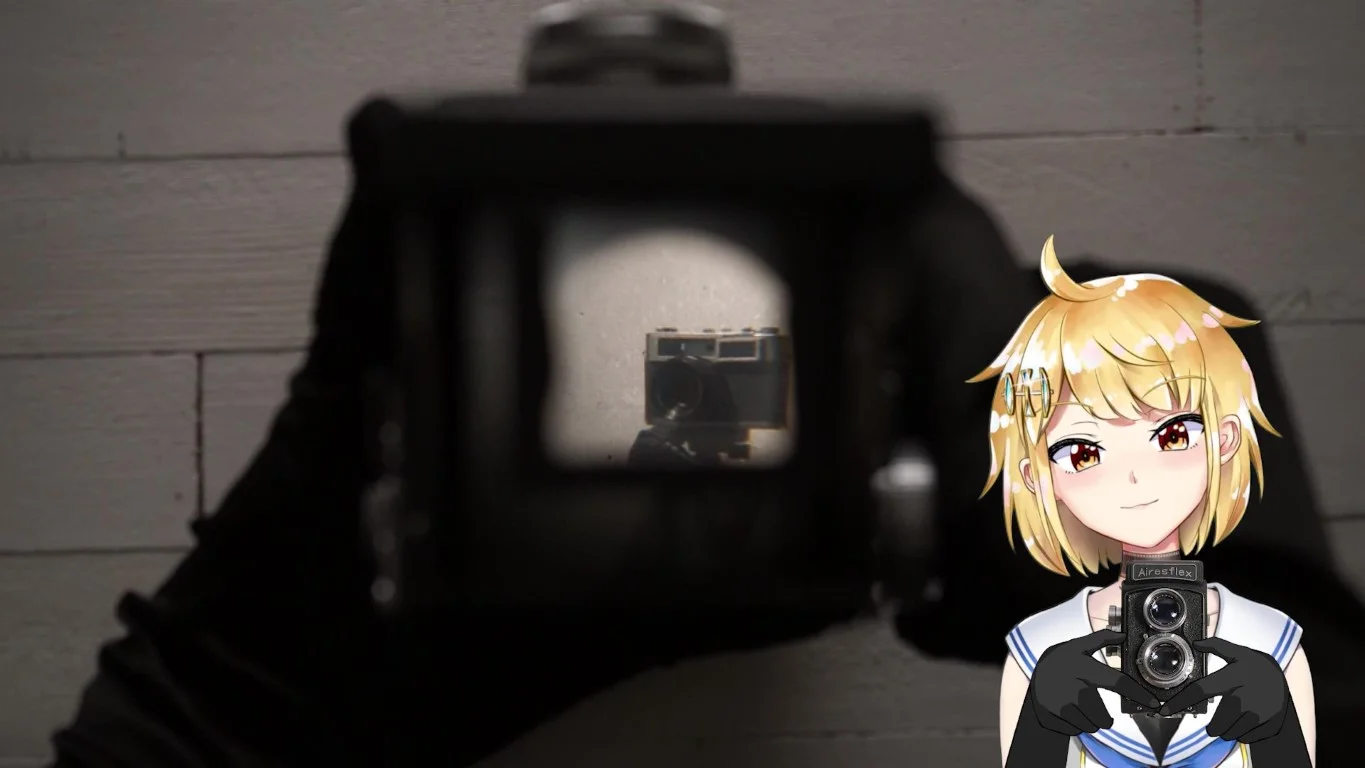 ピントルーペの様子