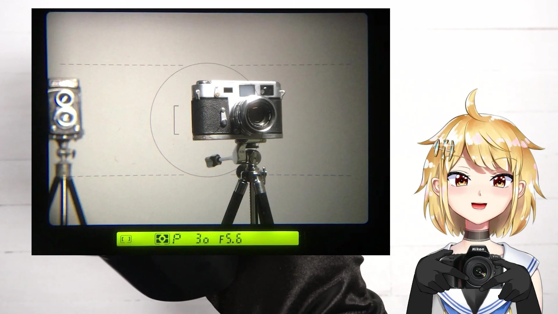 ファインダー内