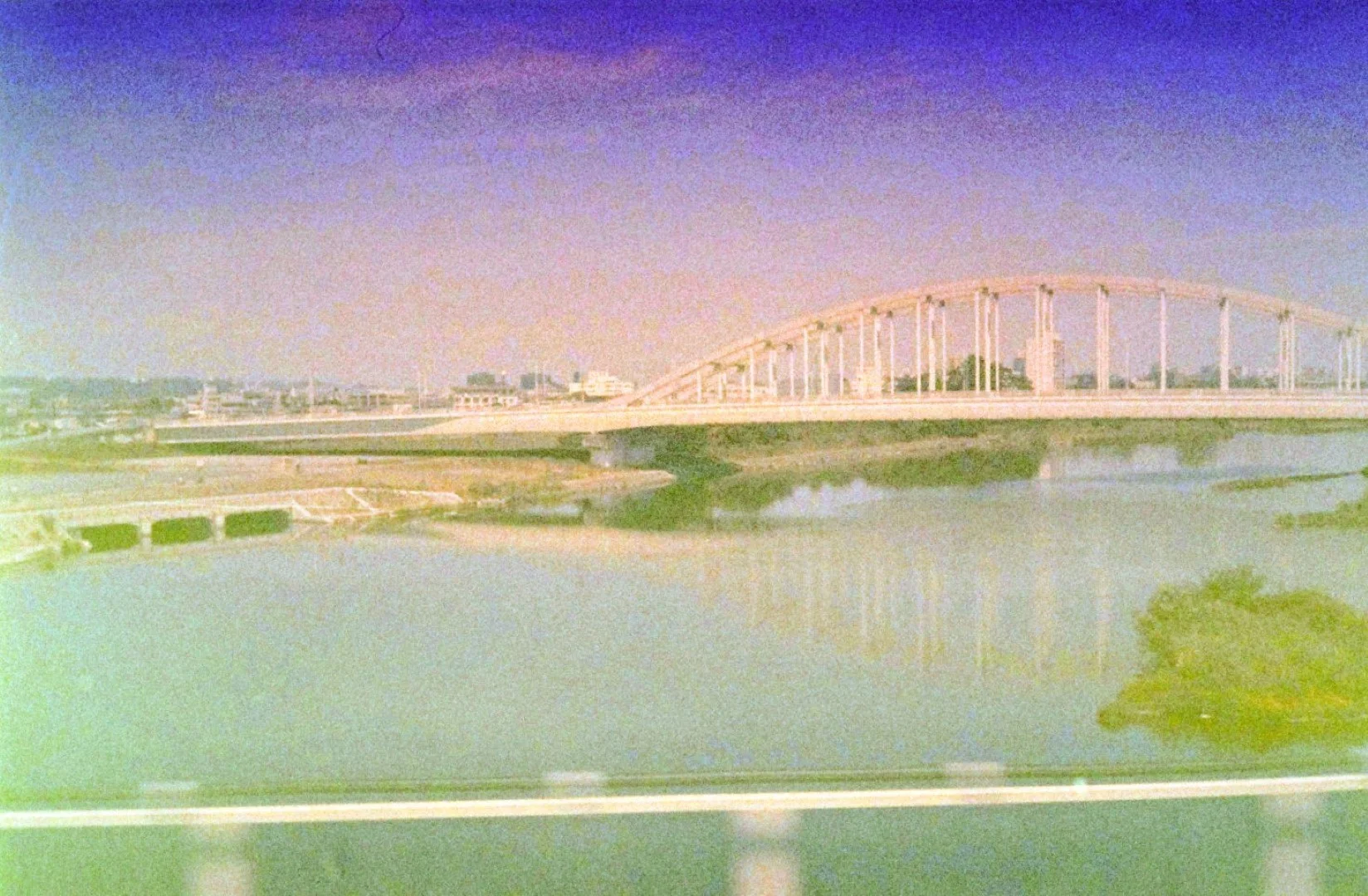 コニカ業務用400 2003年期限(19年落ち)作例