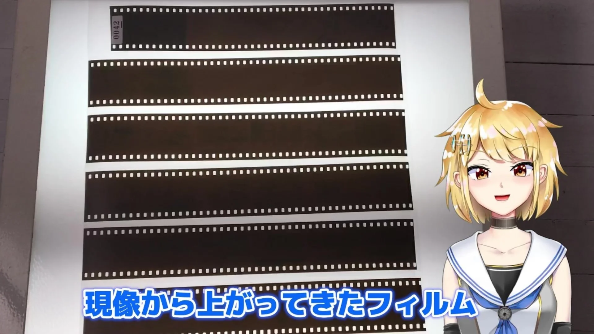 現像したコニカ業務用400を置いてみる