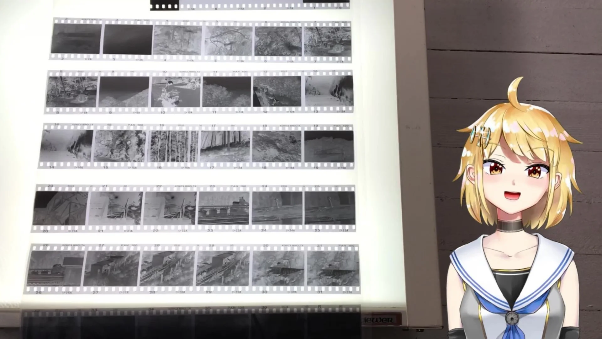 コニカミノルタパン100