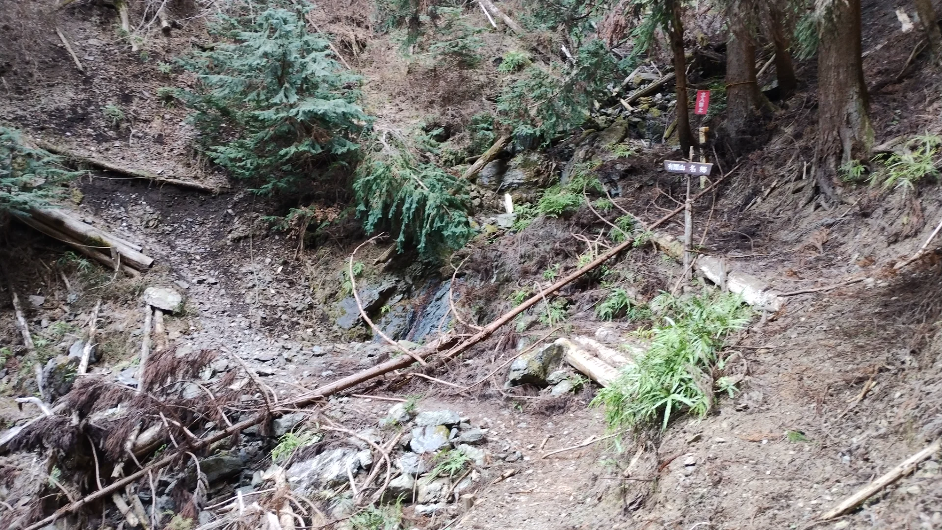 崩れていた箇所