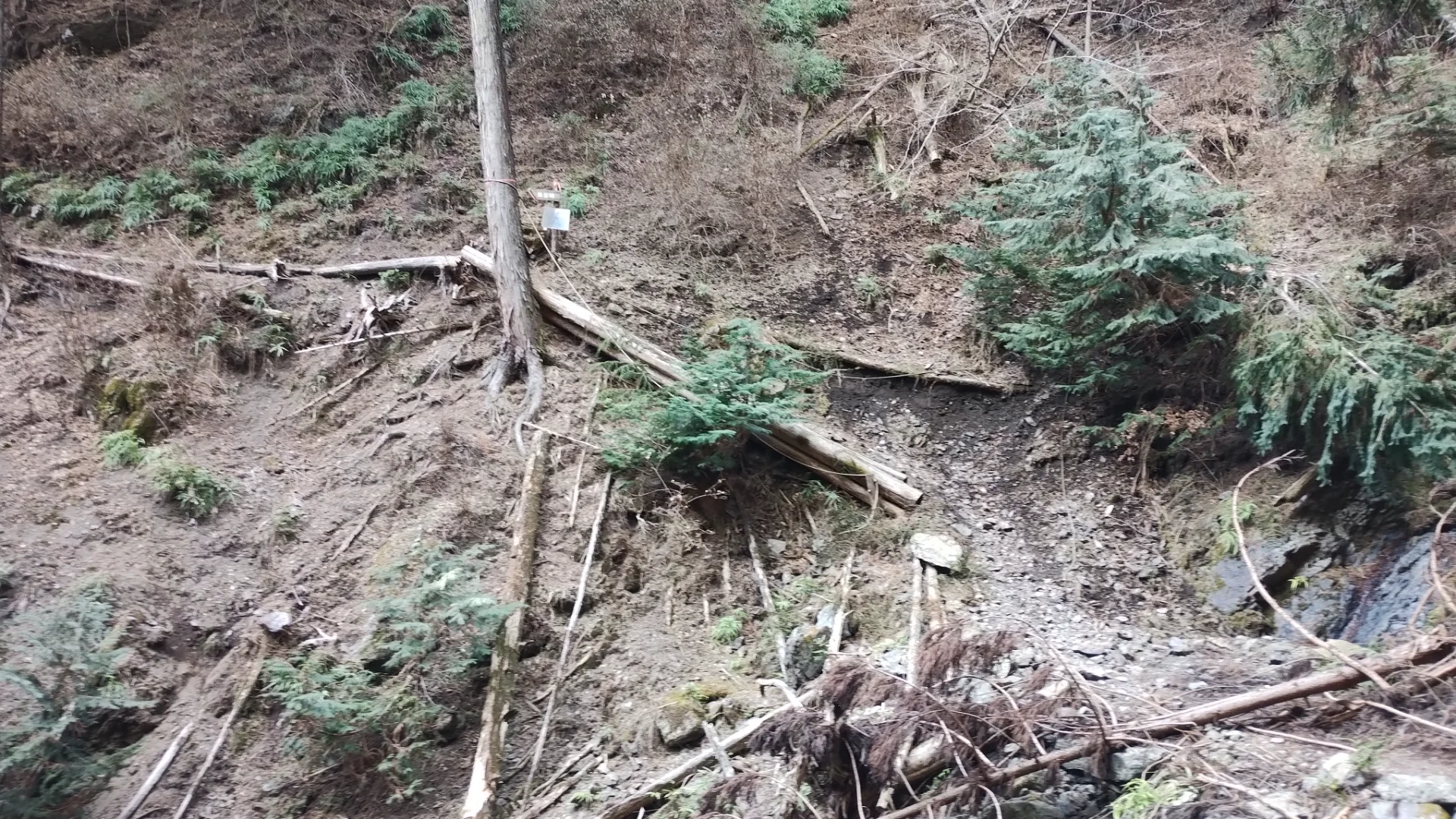 崩れていた箇所