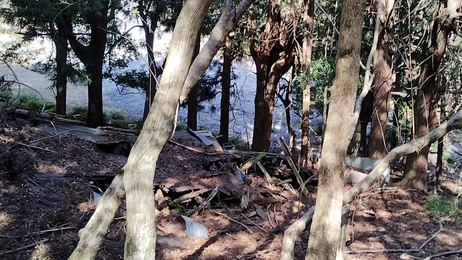 白岩廃村の石灰石土砂崩れ