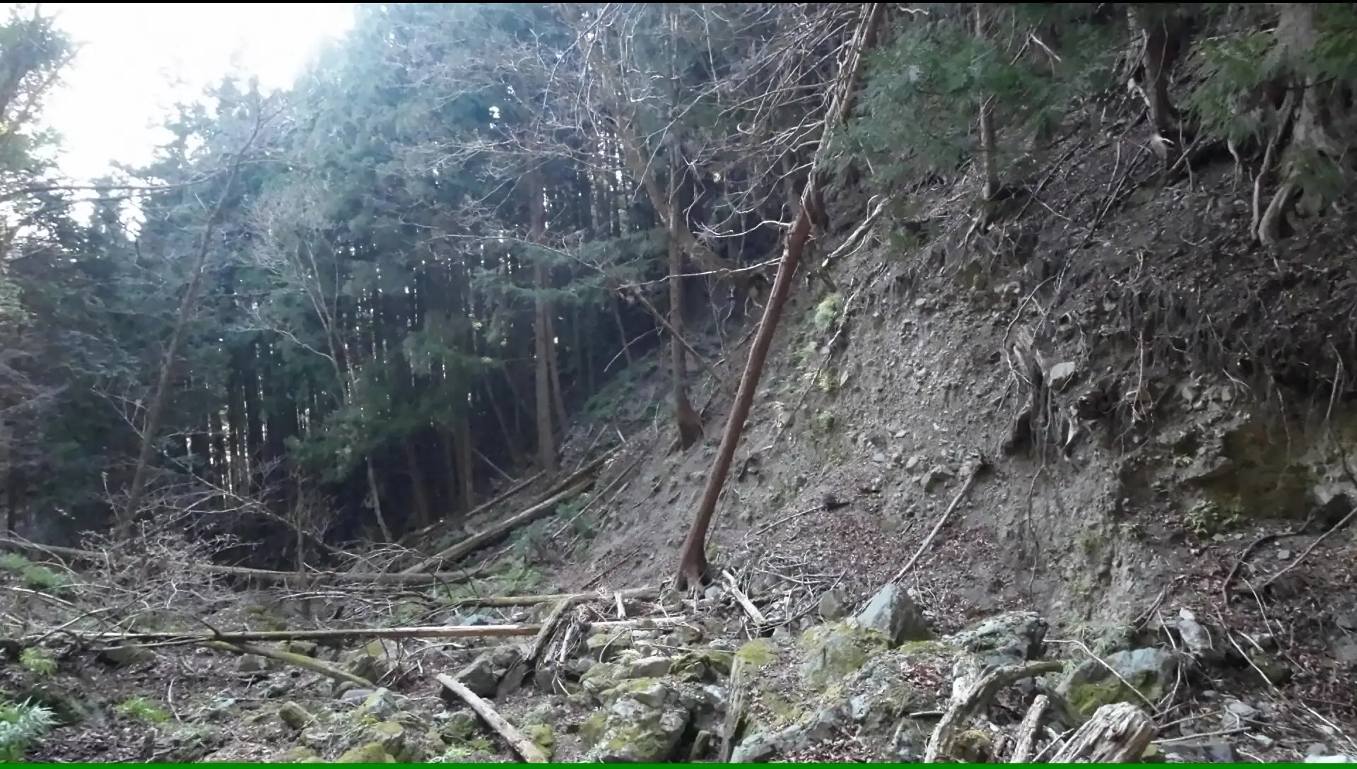 崩落している沢