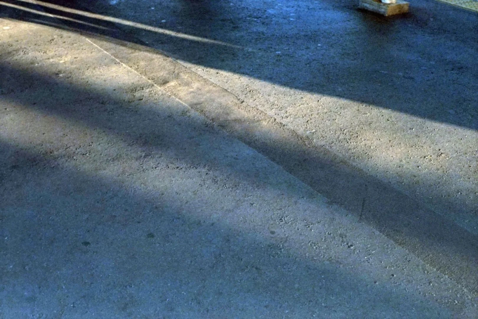 オリンパス35S作例