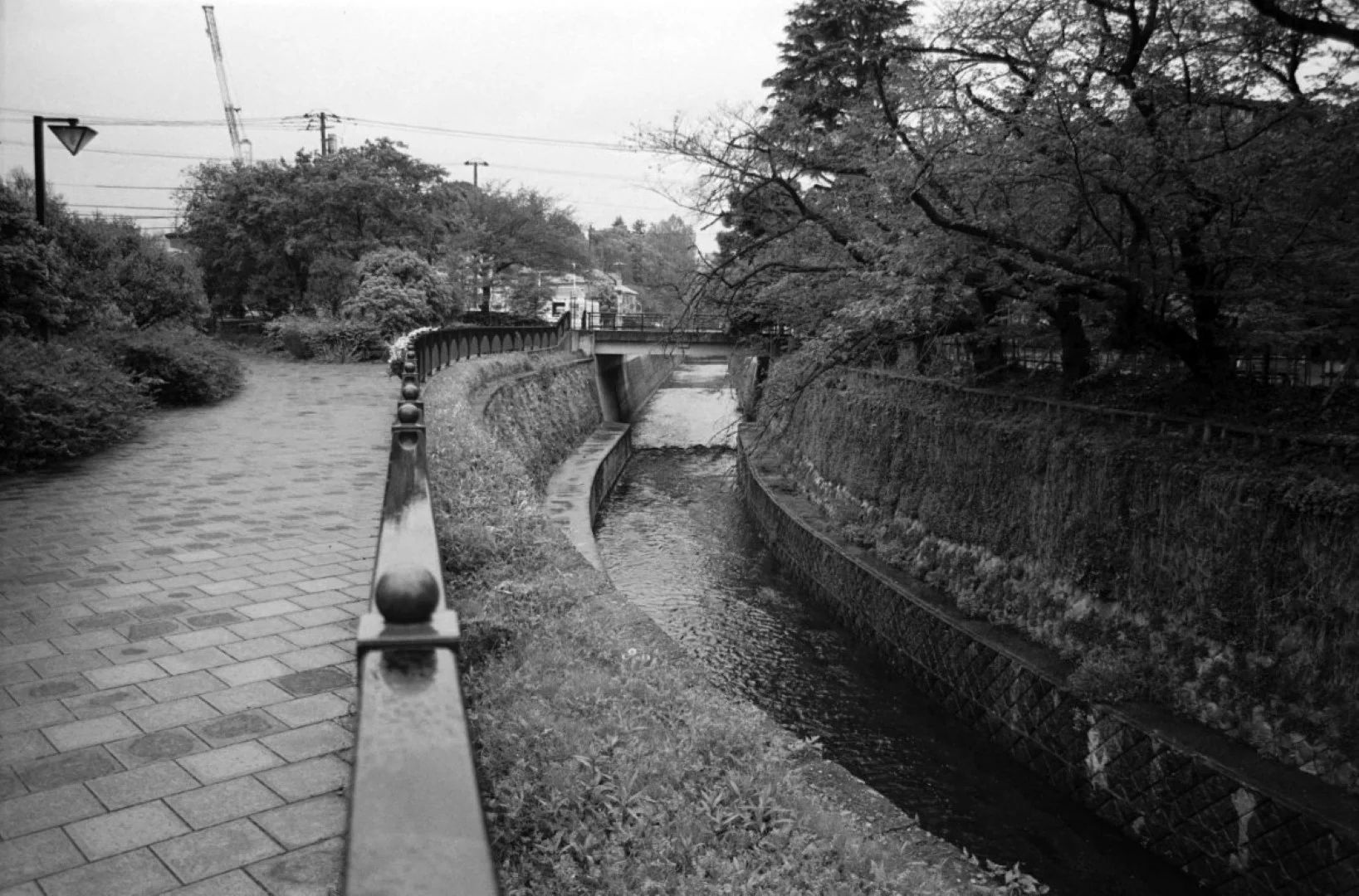 ミノルタ α-Sweet 作例