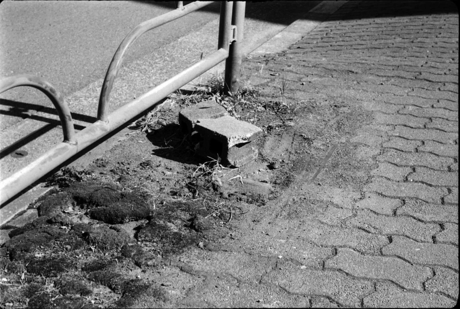 Agfa Silette L作例