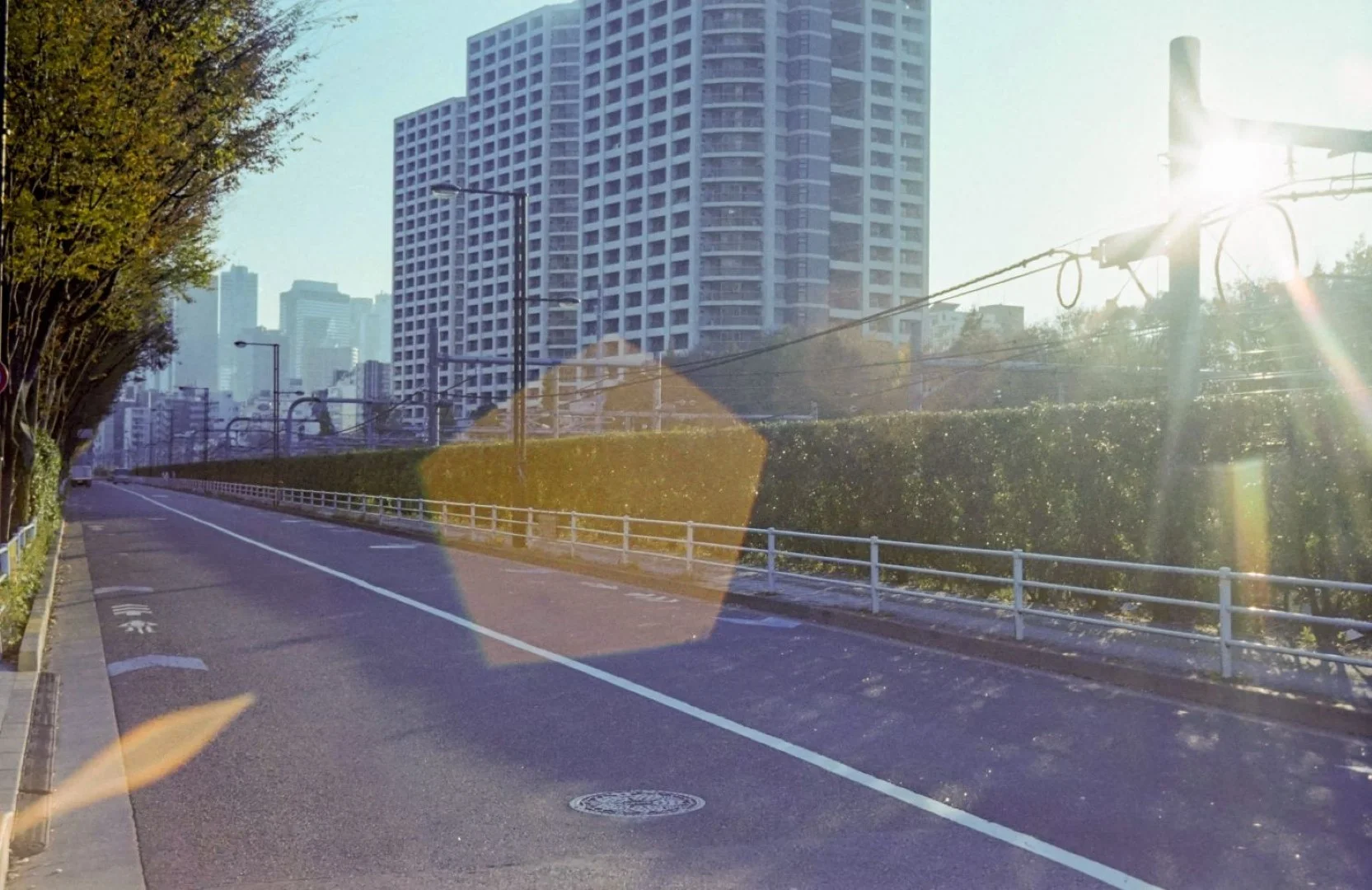 太陽が入っているカット