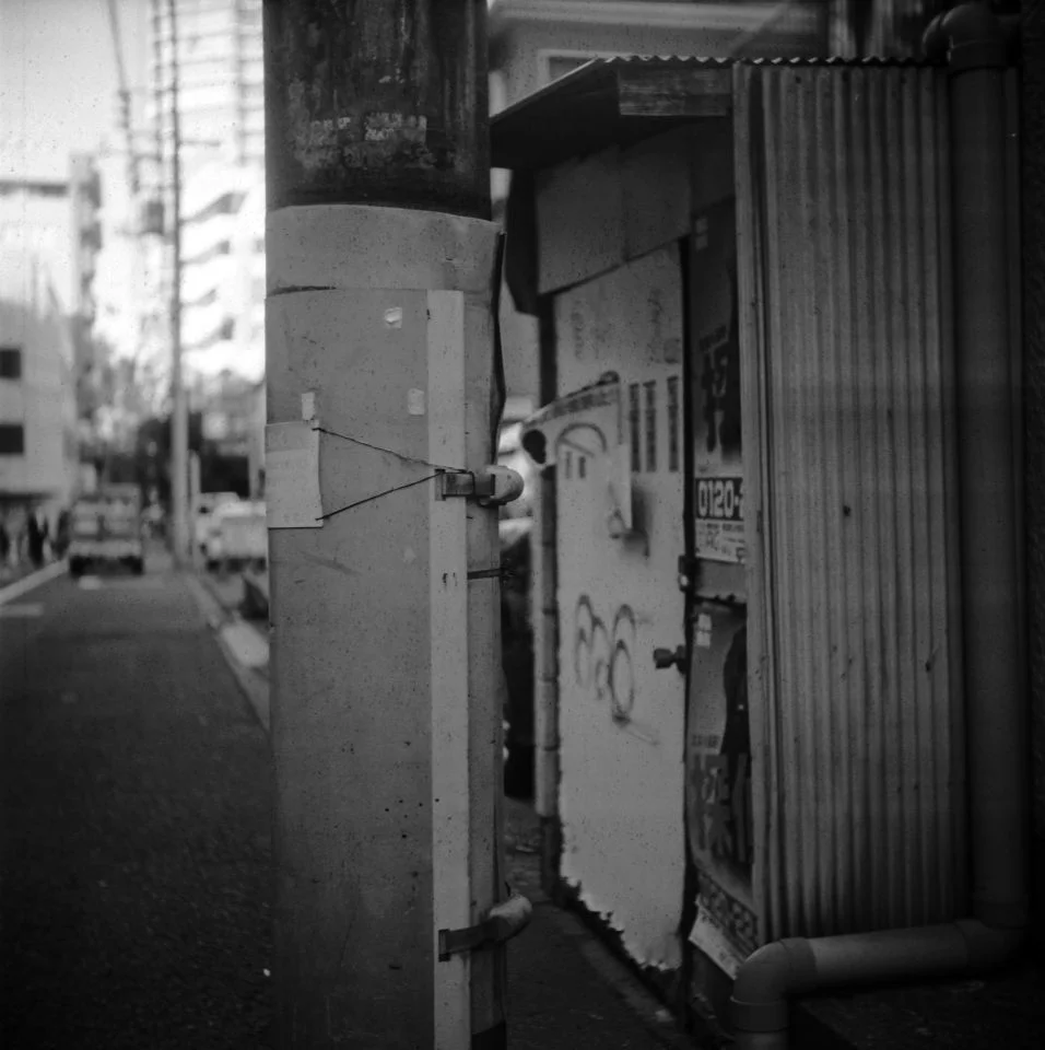 アイレスフレックスYIII 撮影した写真