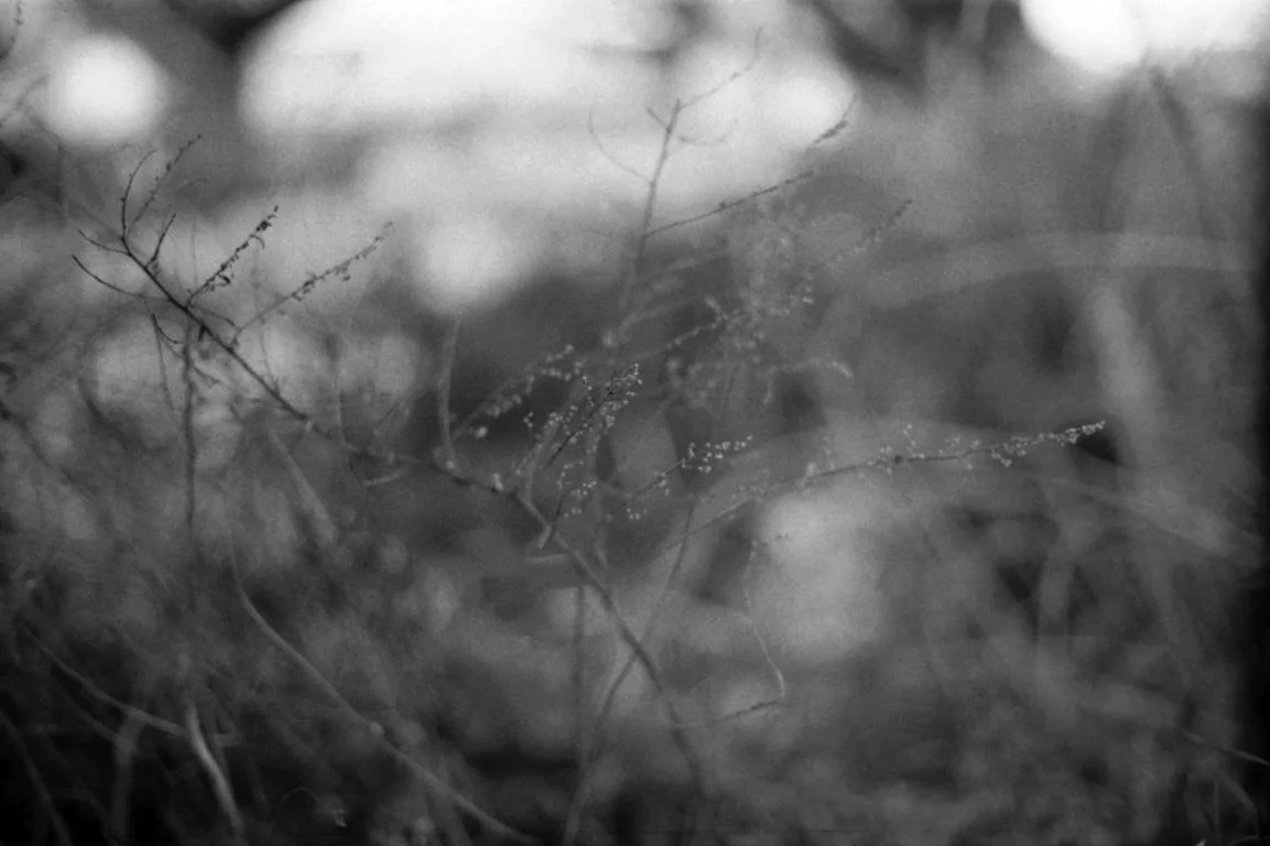モノクロフィルム作例