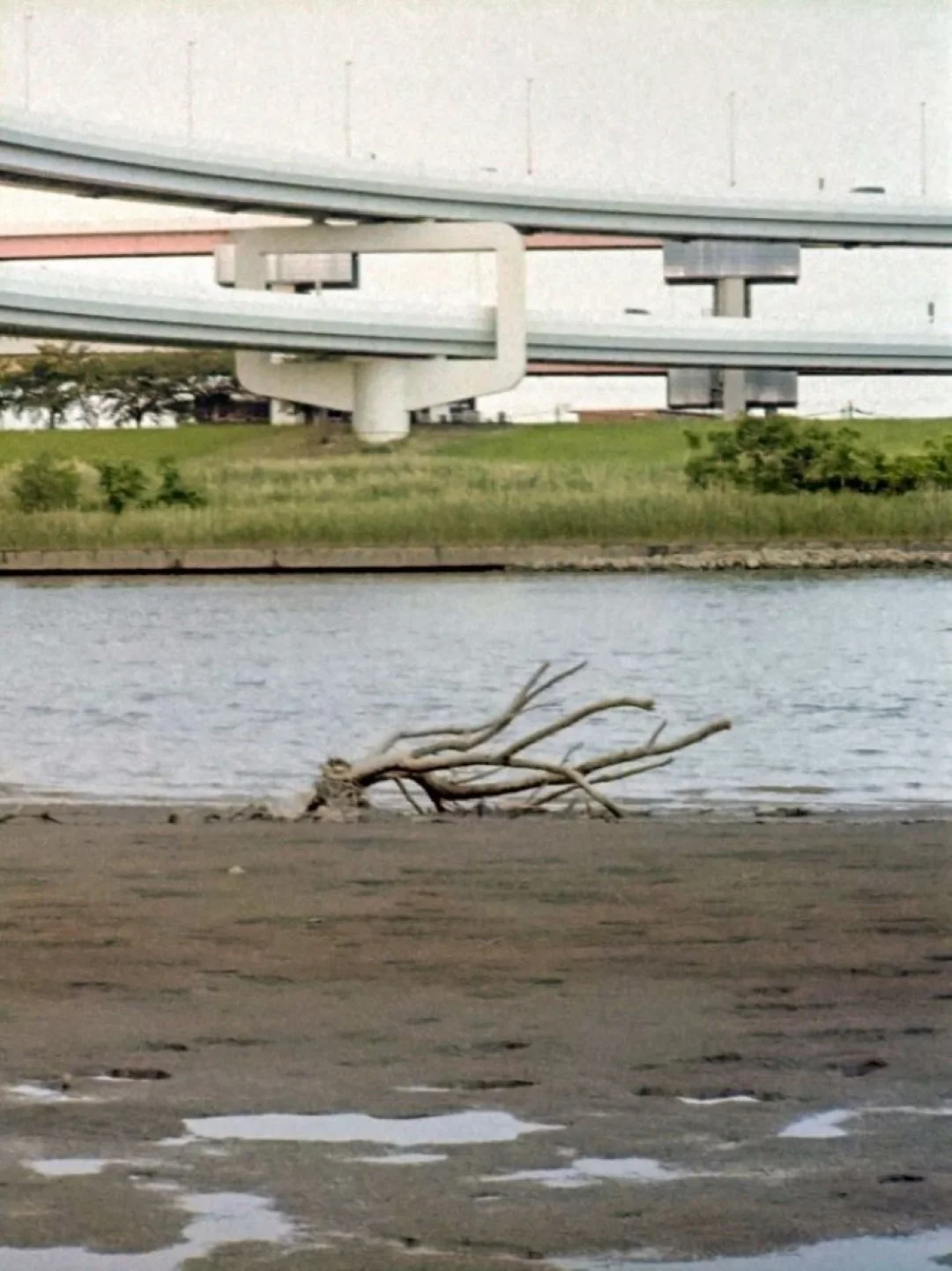 PENTAX auto110で撮影した写真