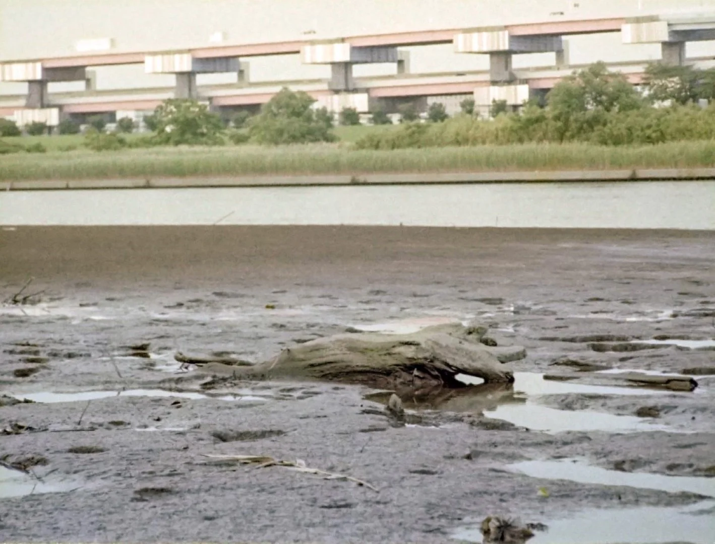 PENTAX auto110で撮影した写真