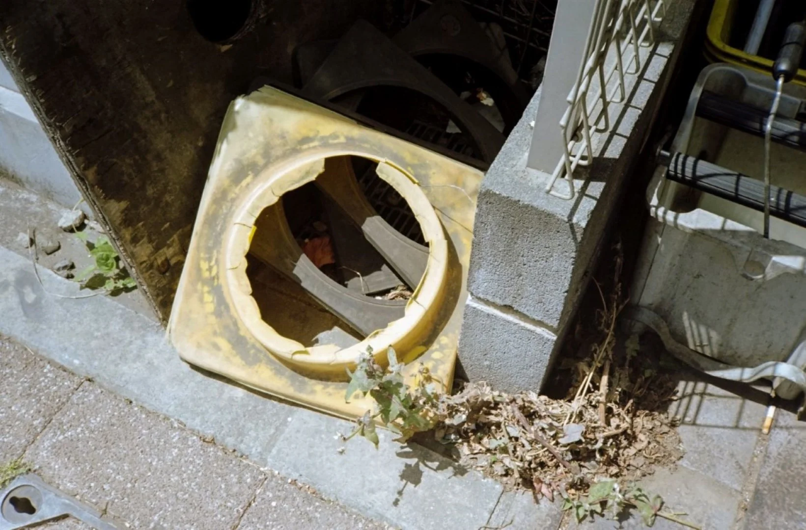 コニカC35EFで撮った写真