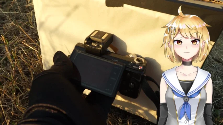 ミラーレスカメラをあてがう