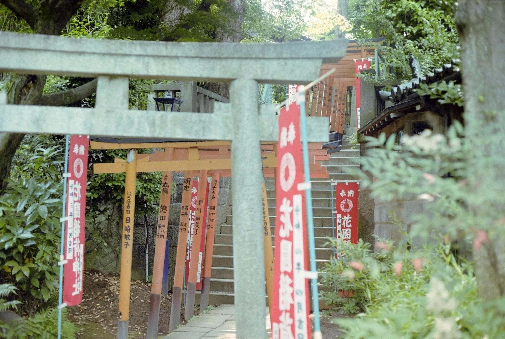 Canon AE-1&FD 50mm F1.8 S.Cの作例