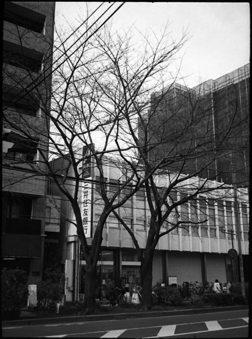 Canon Demi(初代)で撮影した写真