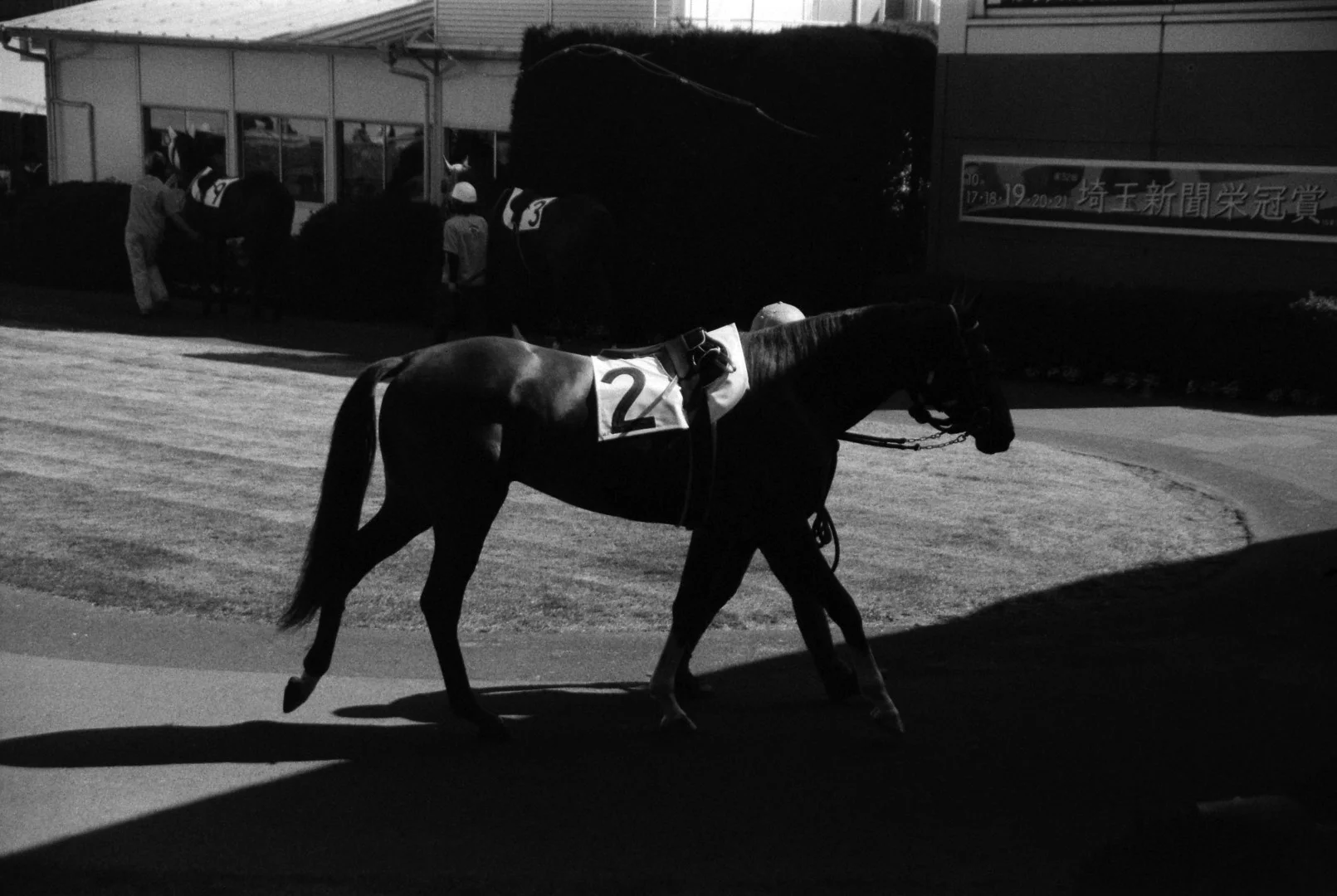 フェイドハード