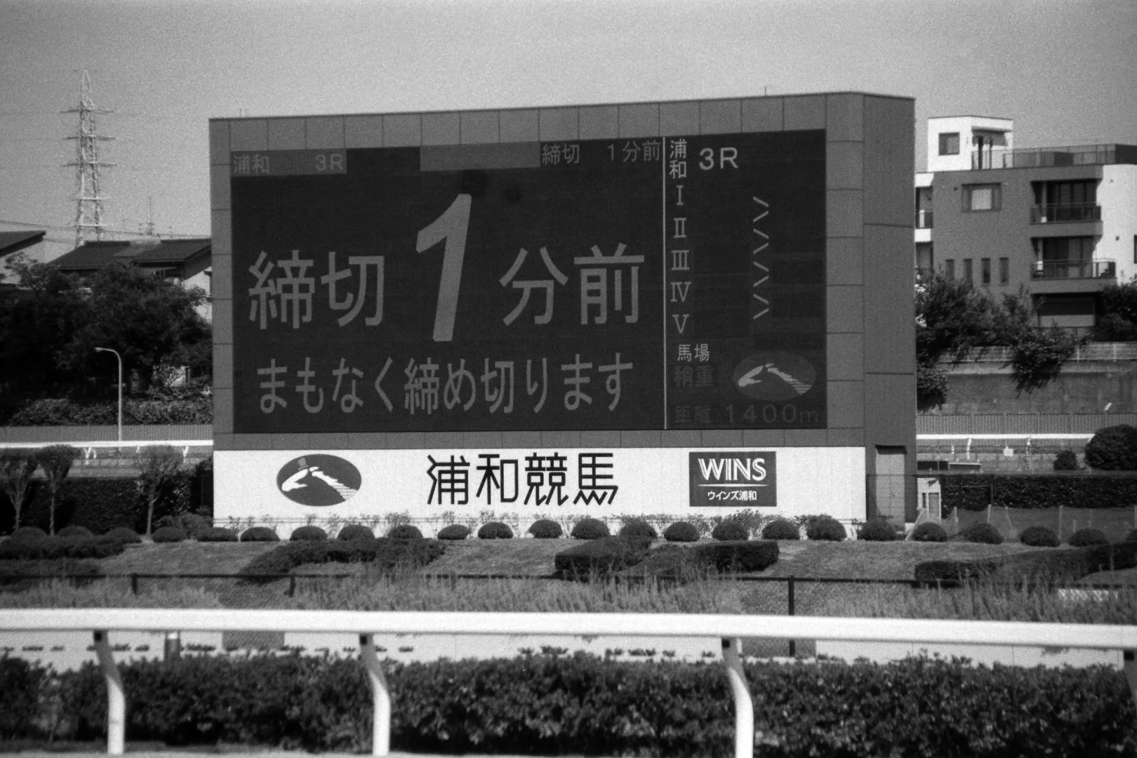 競馬場のスクリーン