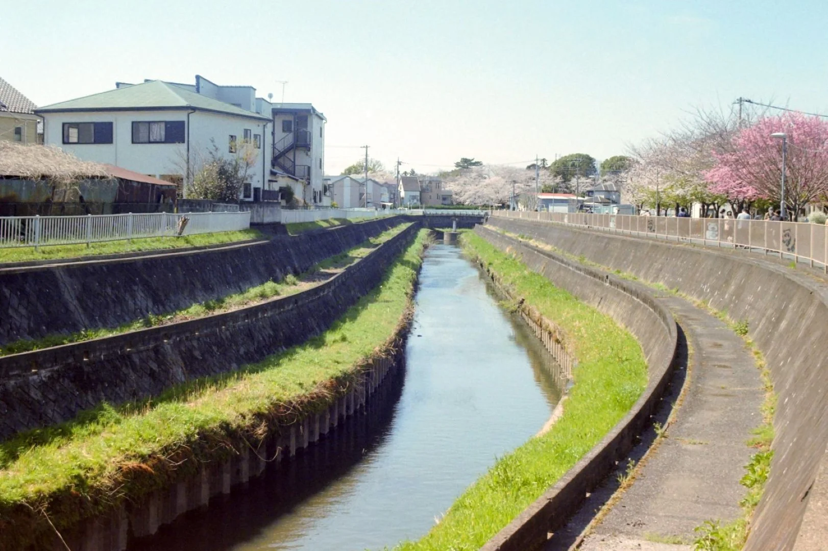 PELLIX QL / FL 50mm F1.4 作例